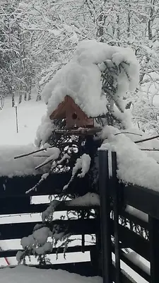 Haus Wastl im Winter