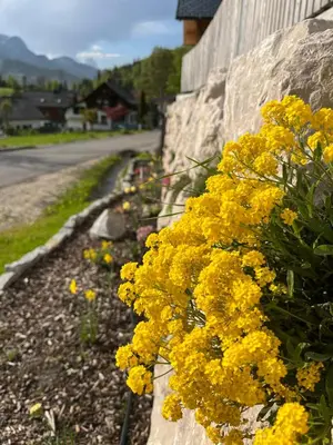Ein allgemeiner Bergblick oder ein Berglick von der Ferienwohnung aus