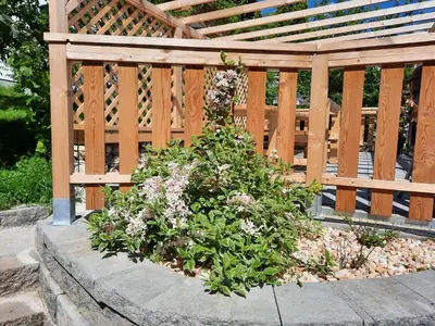 Ein Garten an der Unterkunft Ferienwohnungen Seraphine und Theresia