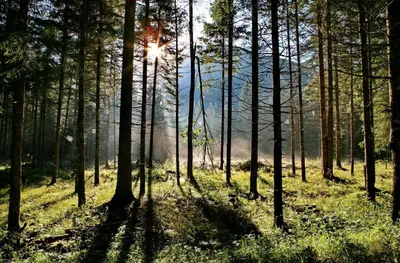 Naturlandschaft in der Nähe der Ferienwohnung