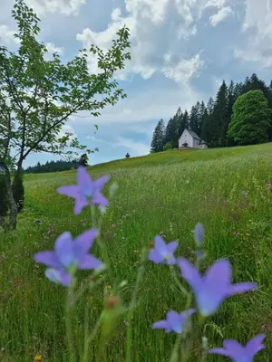 Naturlandschaft in der Nähe der Ferienwohnung