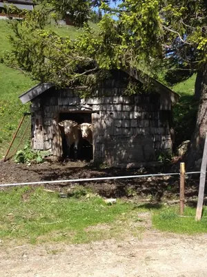 Grundriss der Unterkunft Gasthof Schöntal
