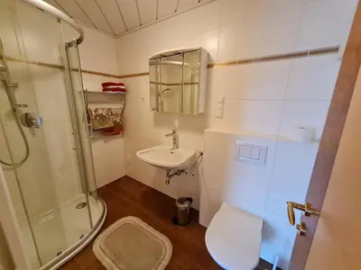 Ein Badezimmer in der Unterkunft Apartement Obweghof Abtenau, Salzburger Land