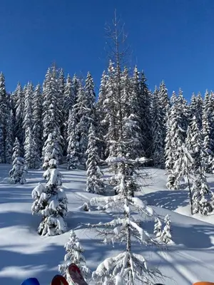Appartements by Chalet Reiteralm -SKI IN SKI OUT im Winter
