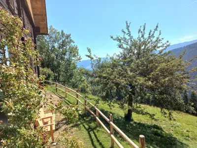 Naturlandschaft in der Nähe des Ferienhauses