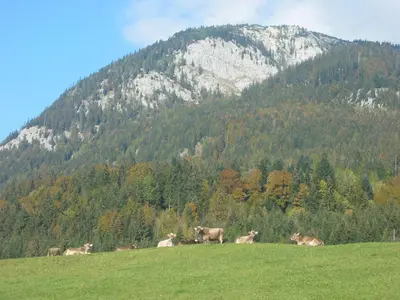 Naturlandschaft in der Nähe des Bauernhofs