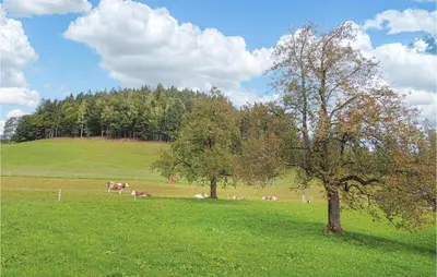 Naturlandschaft in der Nähe des Ferienhauses