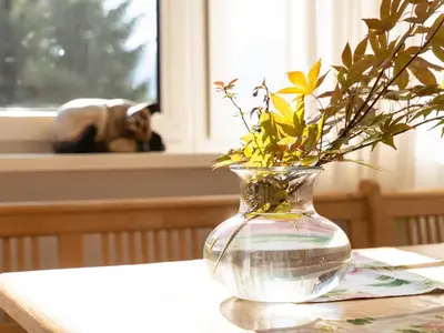 Haustiere von Gästen der Unterkunft Landhaus Leitzinger OG1