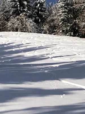 Haus Sabrina im Winter