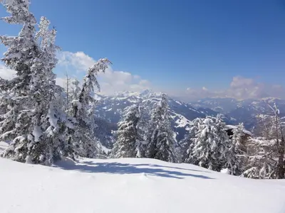 Nöglhof im Winter