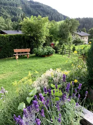 Ein Garten an der Unterkunft Appartement Vierthaler