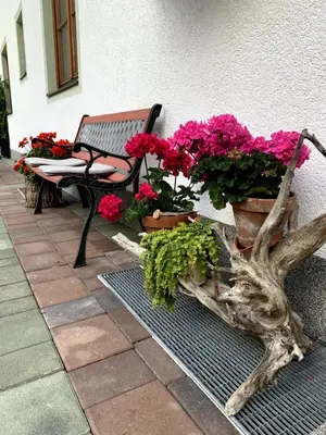 Ein Garten an der Unterkunft Appartement Vierthaler
