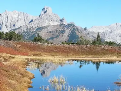 Naturlandschaft in der Nähe der Ferienwohnung