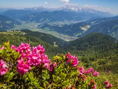 Naturlandschaft in der Nähe des Hotels
