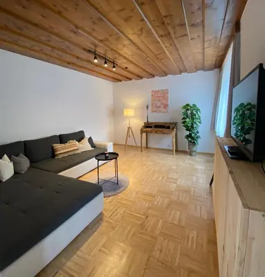 TV/Unterhaltungsangebot in der Unterkunft Almufer-Appartements