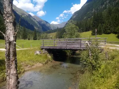 Naturlandschaft in der Nähe des Chalets