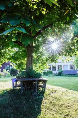 Ein Garten an der Unterkunft Landgasthof Zum Hammerschmied