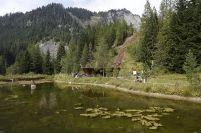 Naturlandschaft in der Nähe der Ferienwohnung