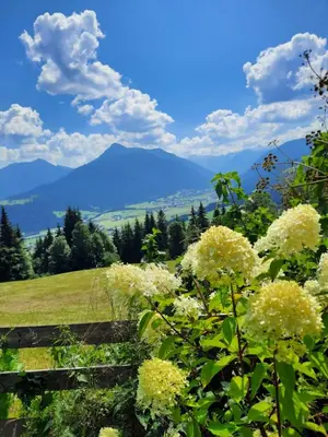 Naturlandschaft in der Nähe des Ferienhauses