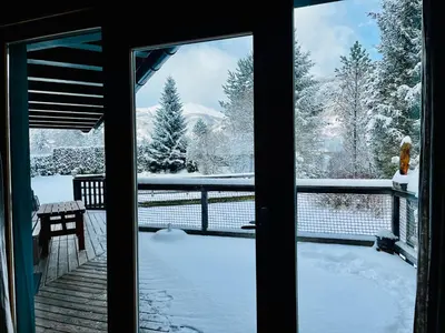 Chalet am Teich Familie Gänser im Winter