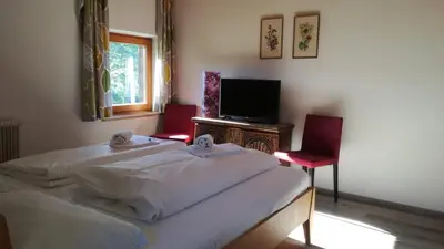 TV/Unterhaltungsangebot in der Unterkunft Sinabell by Schladmingurlaub