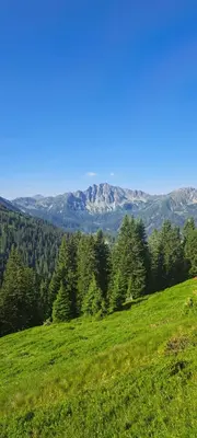 Naturlandschaft in der Nähe des Ferienhauses