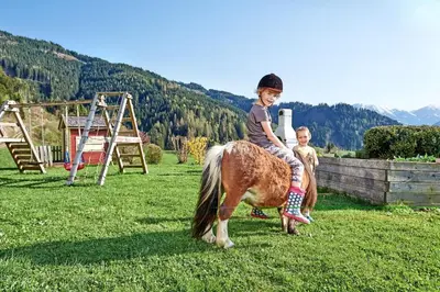 Tiere in der Ferienwohnung oder in der Nähe