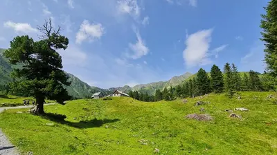 Naturlandschaft in der Nähe des Ferienhauses
