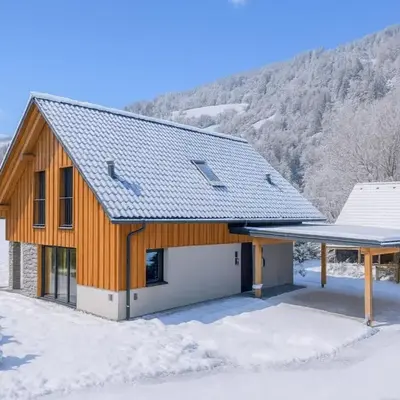 Mountain Chalet Alpinchique