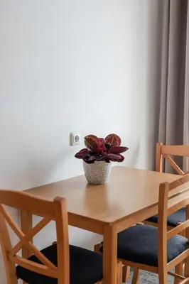 Grundriss der Unterkunft Grabmayrhof