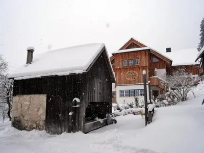 Ecologie Grundlsee im Winter