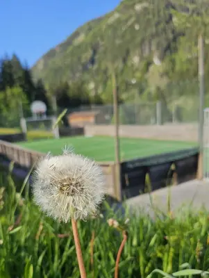 Ein allgemeiner Bergblick oder ein Berglick von der Ferienwohnung aus