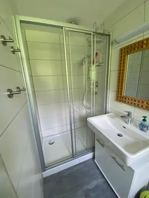 Ein Badezimmer in der Unterkunft Family Appartment - Dachstein View