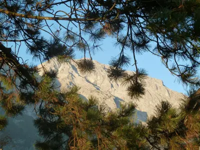 Naturlandschaft in der Nähe der Pension