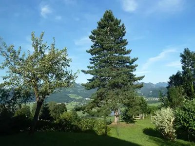 Naturlandschaft in der Nähe der Pension