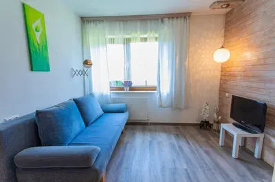 TV/Unterhaltungsangebot in der Unterkunft Huberhof 2 by Alpenidyll Apartments