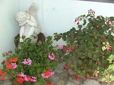 Ein Garten an der Unterkunft Gästehaus Macheiner