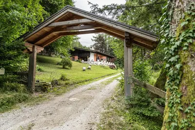 Ein Garten an der Unterkunft Alpin-Chalet in Alleinlage in Bad Ischl - Wald, Kamin, Sauna und Badeplatz