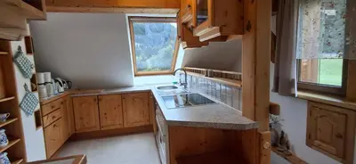 Küche/Küchenzeile in der Unterkunft Appartements Scharzenberger und Hinteregg