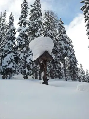 Zimmer im Lungau im Winter