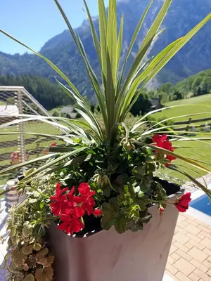 Ein allgemeiner Bergblick oder ein Berglick von des Ferienhauses aus