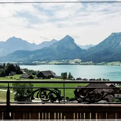 The View