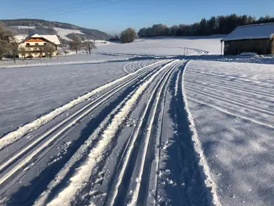 Biohof-Feichtinger im Winter