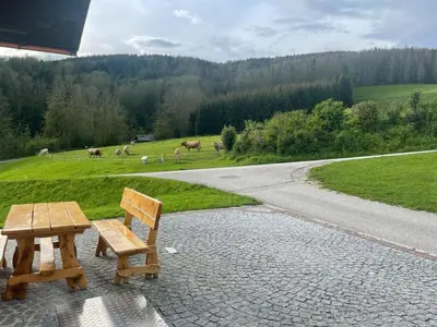 Naturlandschaft in der Nähe der Ferienwohnung