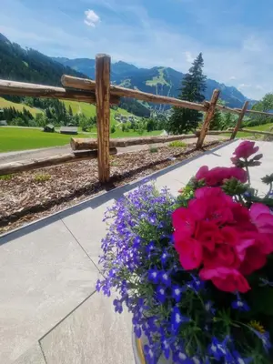 Ein allgemeiner Bergblick oder ein Berglick von der Ferienwohnung aus