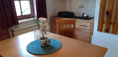 Küche/Küchenzeile in der Unterkunft Haus Moser