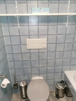 Ein Badezimmer in der Unterkunft Apartment Tauplitz Kulmhof