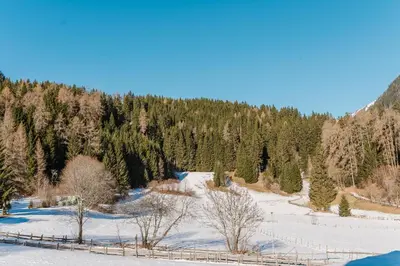 Naturlandschaft in der Nähe der Ferienwohnung