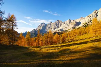 Naturlandschaft in der Nähe der Ferienwohnung
