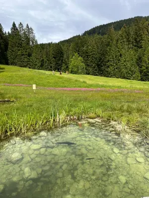 Naturlandschaft in der Nähe der Ferienwohnung